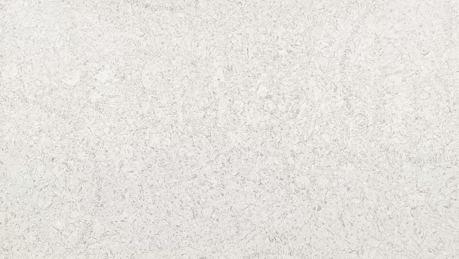 Cottonwood-banner