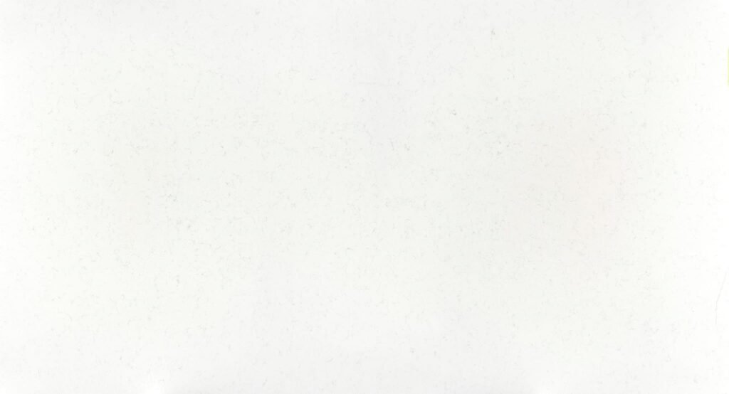Miami Vena-banner
